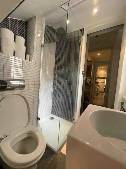 Large Studio Flat In Kensington Londýn Exteriér fotografie
